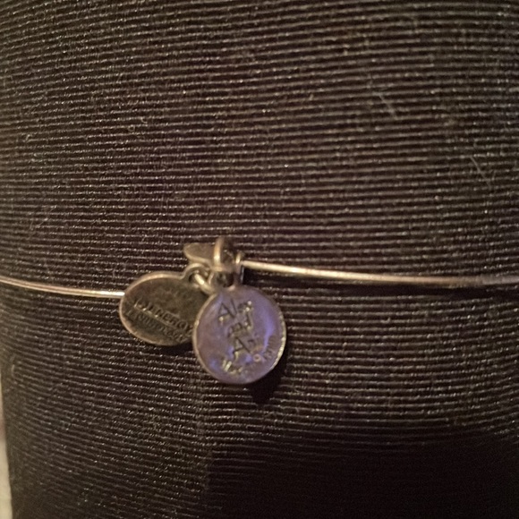 Barely worn Alex and Ani +Energy series adjustable bracelet. Blue and silver - Picture 3 of 7